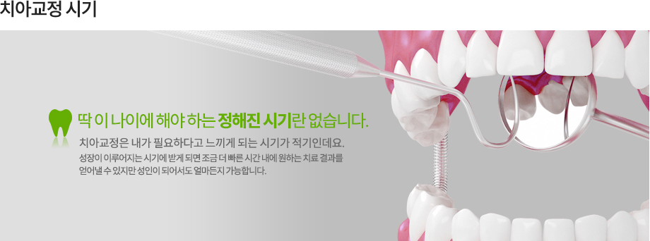 치아 배열과 맞물림을 보여주는 치아 모형